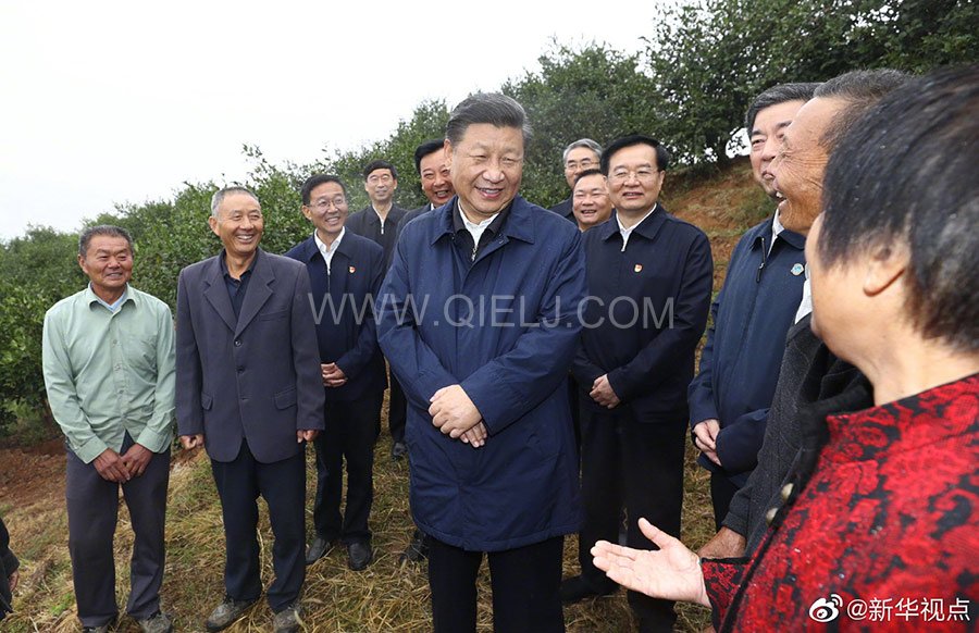 光山油茶籽榨油設備，山茶籽油榨油機廠家(圖2)