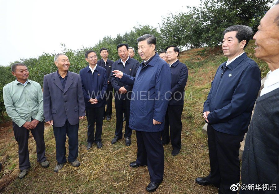 光山油茶籽榨油設備，山茶籽油榨油機廠家(圖3)