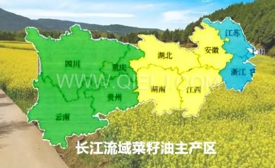 濃香菜籽油成套設備，企鵝糧油機械品質出眾(圖1)