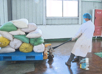 西藏企鵝糧油機械設備案例之墨竹工卡縣小油菜榨油廠項目(圖3) 西藏企鵝糧油機械設備案例之墨竹工卡縣小油菜榨油廠項目(圖3)