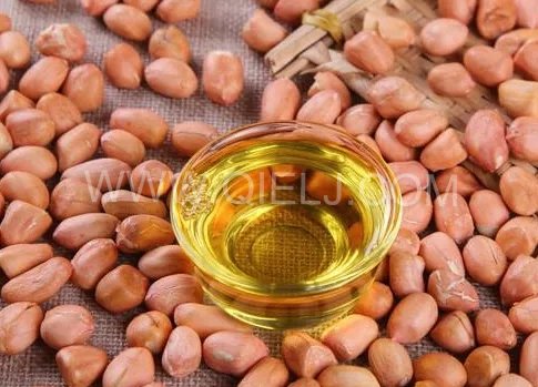 投資建花生油加工廠，選擇企鵝糧油機(jī)械設(shè)備事半功倍(圖1)