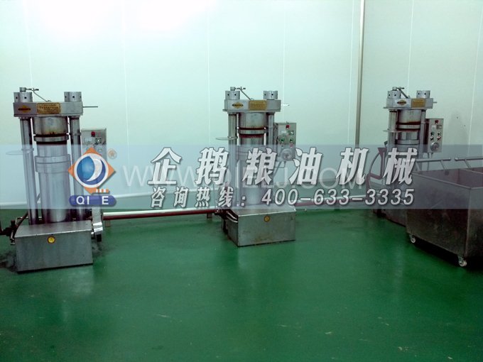芝麻油壓榨處理設備，企鵝牌液壓榨油機勇于創新生產效率高(圖4)