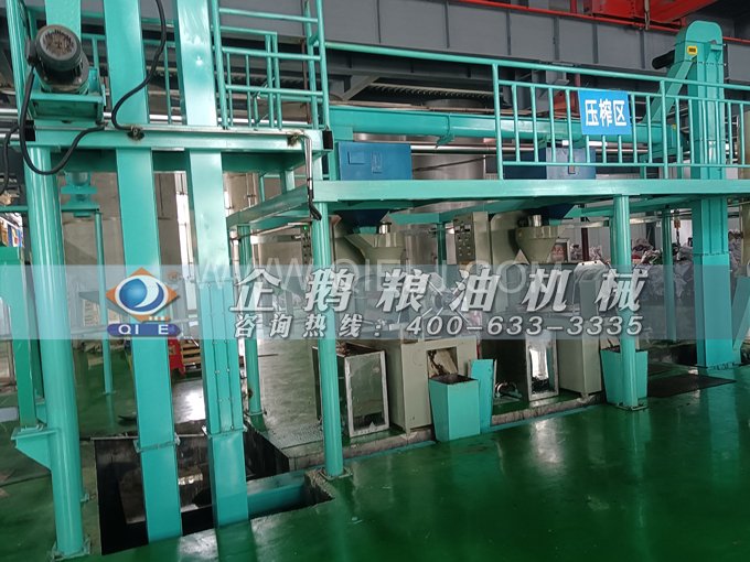 企鵝牌核桃油榨油設備,生產綠色健康油受大眾喜愛(圖4) 企鵝牌核桃油榨油設備,生產綠色健康油受大眾喜愛(圖4)