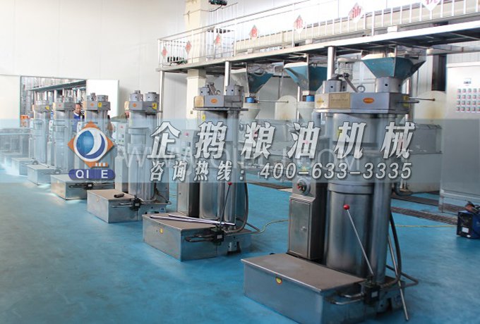 芝麻油提取加工,企鵝糧油機(jī)械生產(chǎn)色香味俱佳的油脂(圖3) 芝麻油提取加工,企鵝糧油機(jī)械生產(chǎn)色香味俱佳的油脂(圖3)
